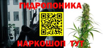 твердый Боровичи