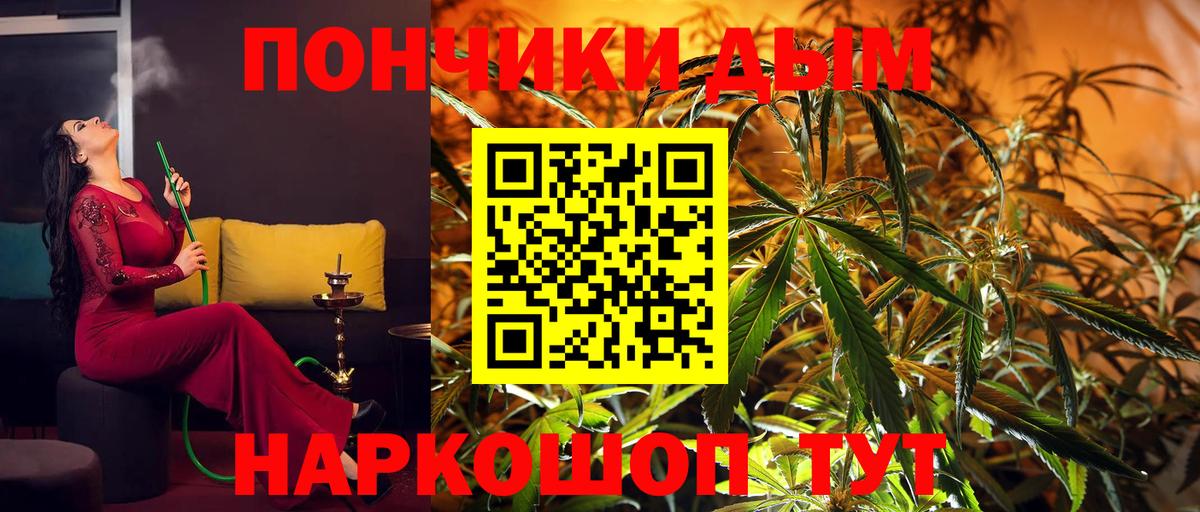Бошки марихуана семена Мыски